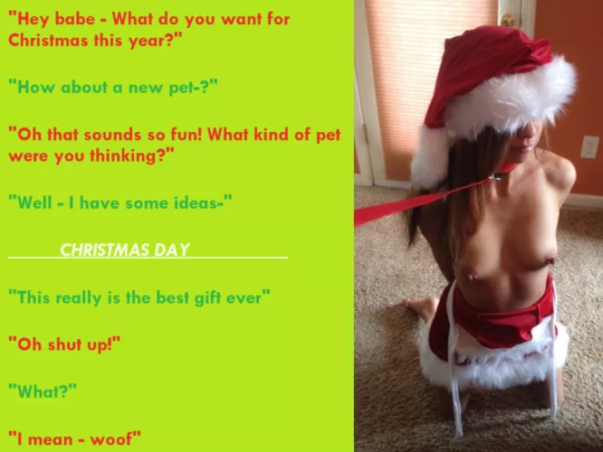 CHRISTMAS - Your GF asked what you wanted as a gift for the holidays. You told her a pet - you didnt specify the kind of pet though