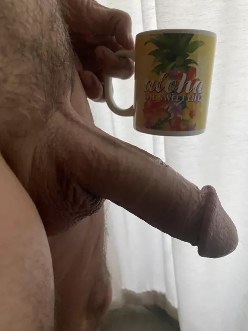 Happy Saturday All! 🌺