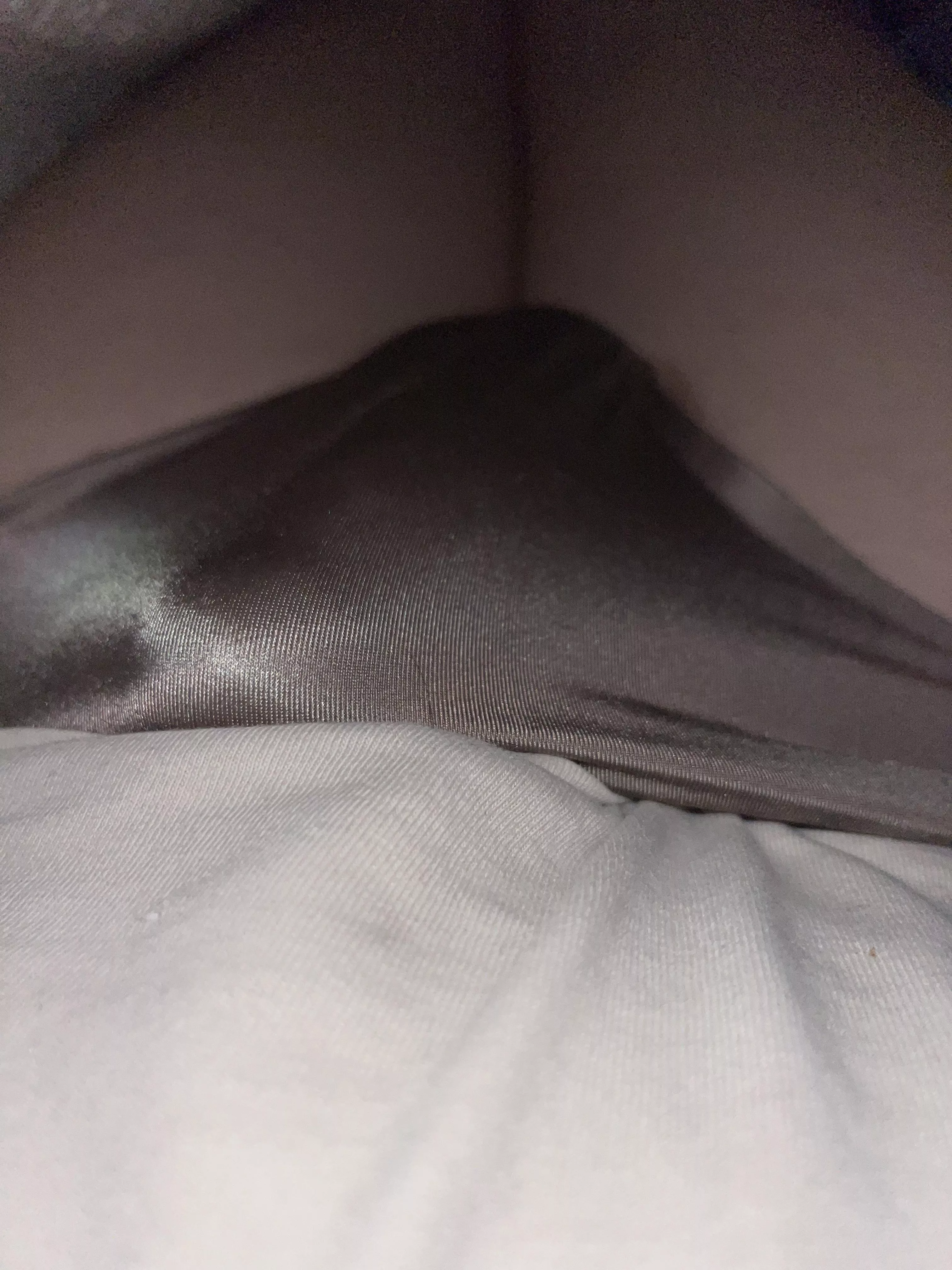 Hiding under the covers this morning