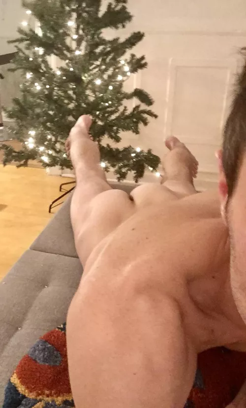 Little break of decorate the “Christmas tree”