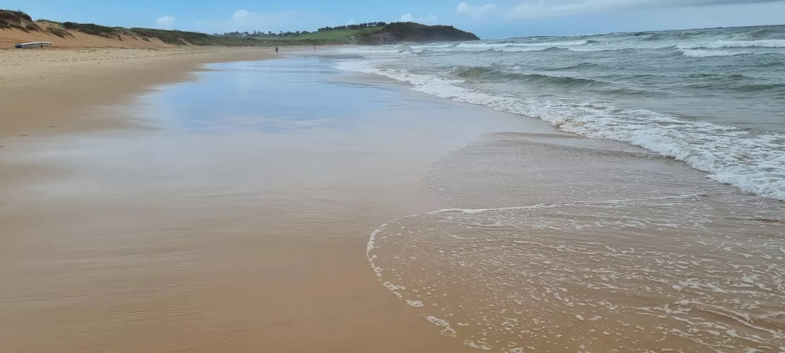 Long Reef Beach, Sydney NSW Australia