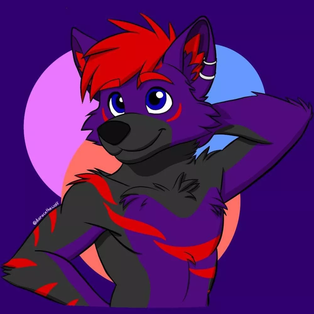 Look at this cutie Jax!