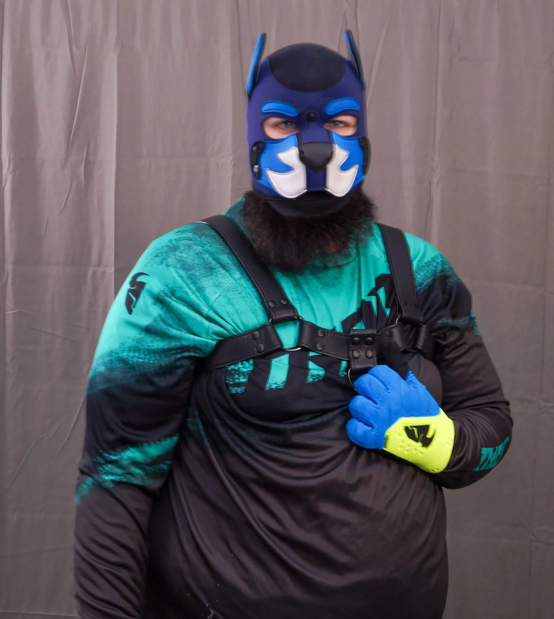 MotoCross Pup fusion