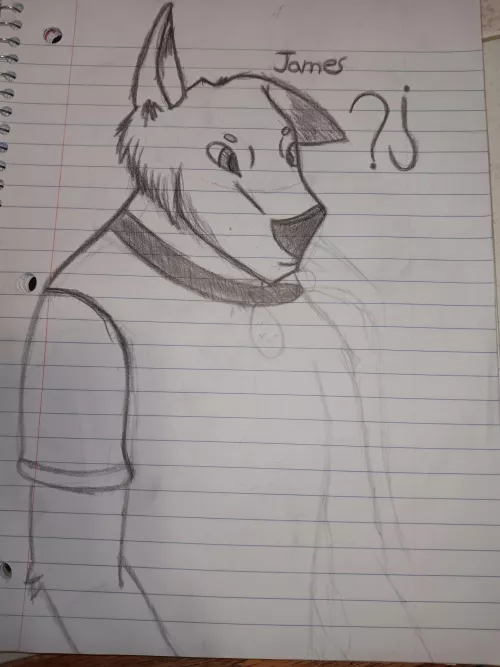 Progress over a year