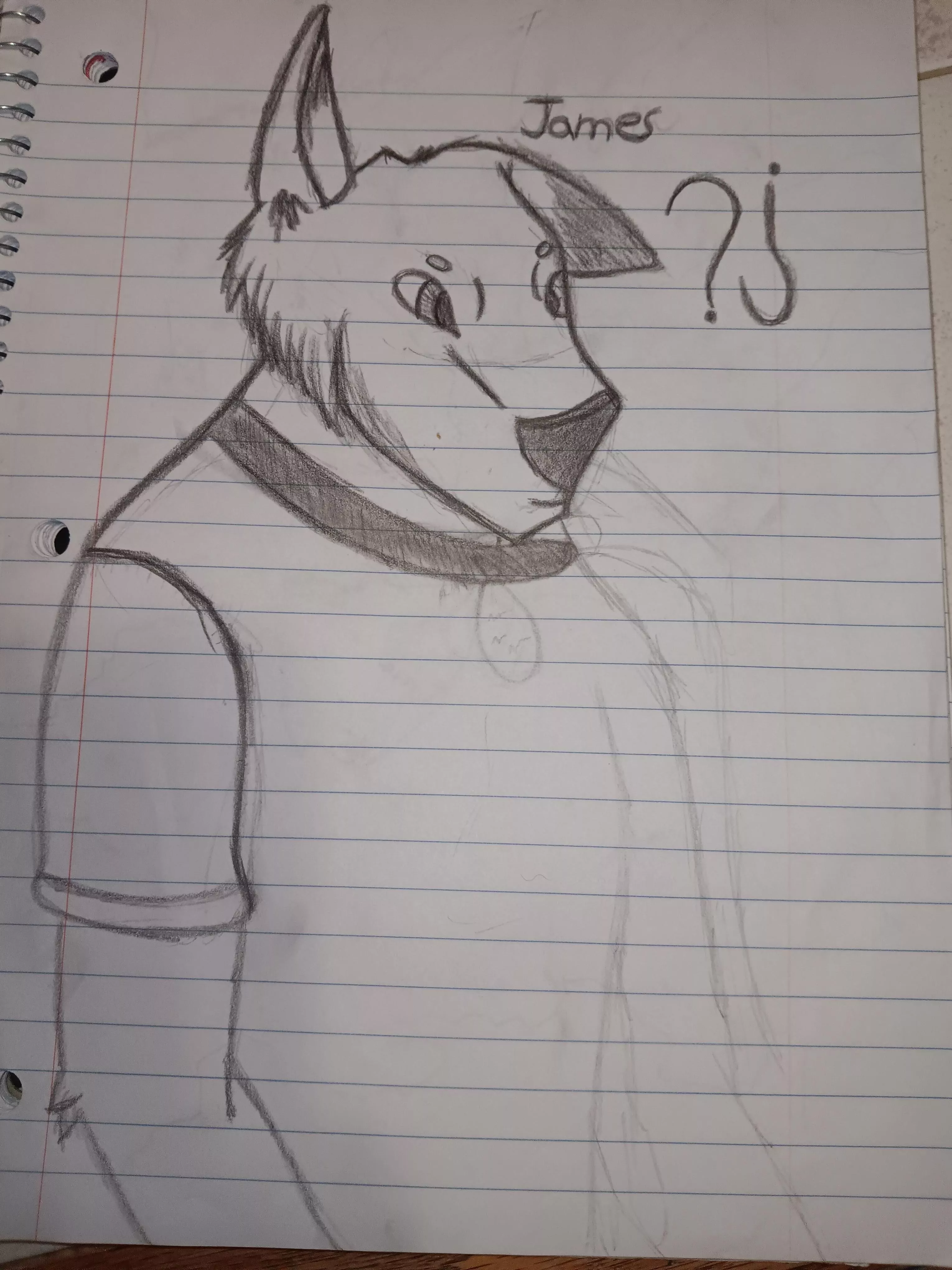 Progress over a year