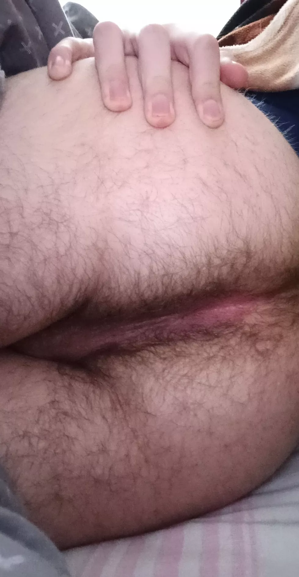 this ass needs breeding