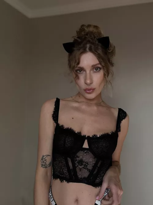 What do you want to feed your cat?