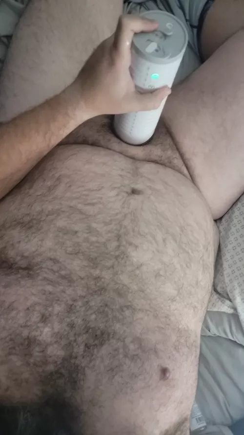 Bear Daddy with toy.