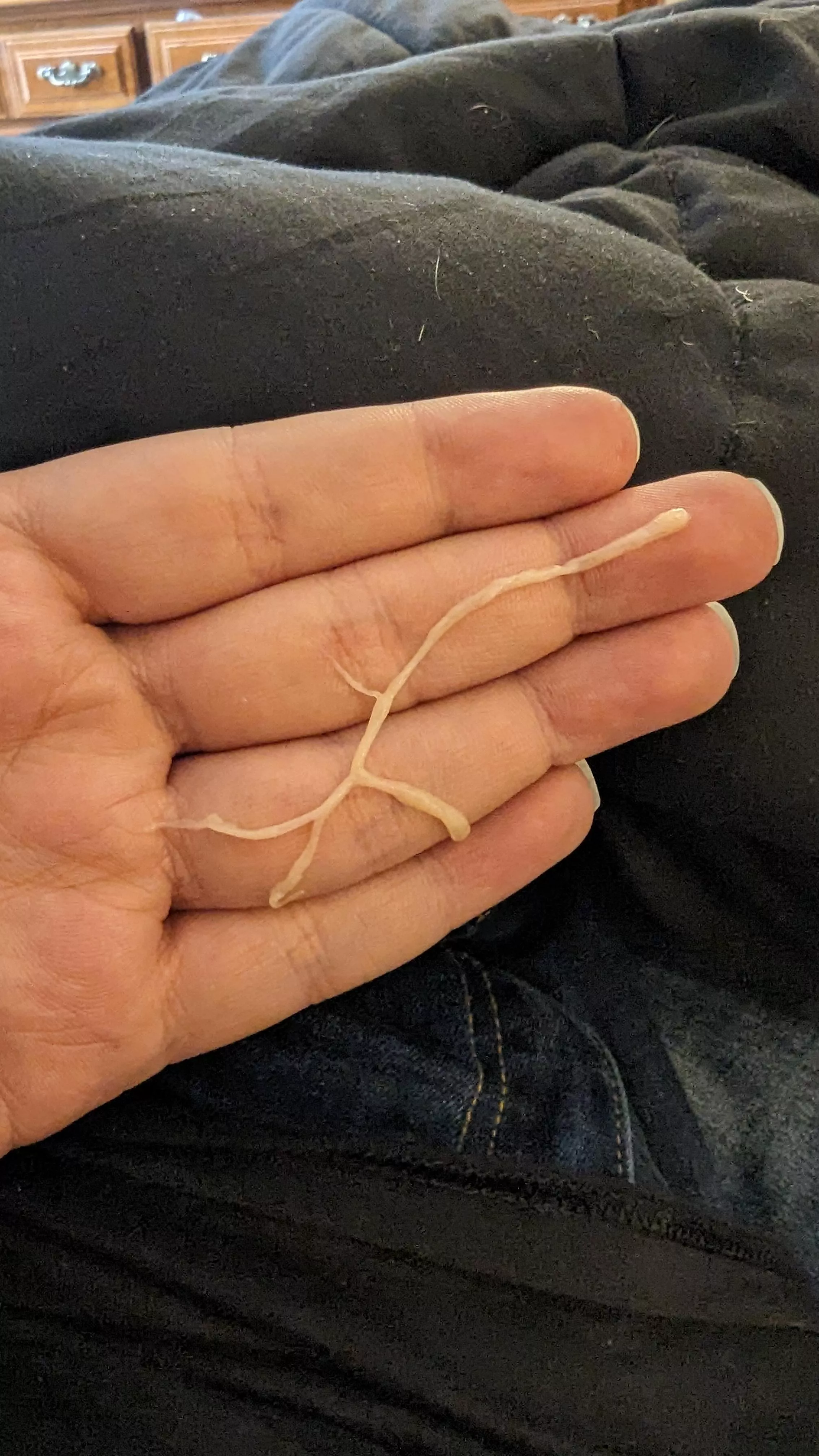 Being sick is so much fun!