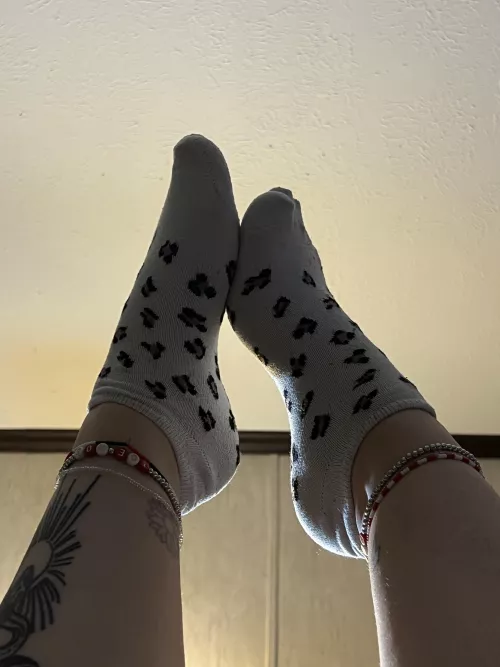 Day 1 of 5 for these bad boys🥵