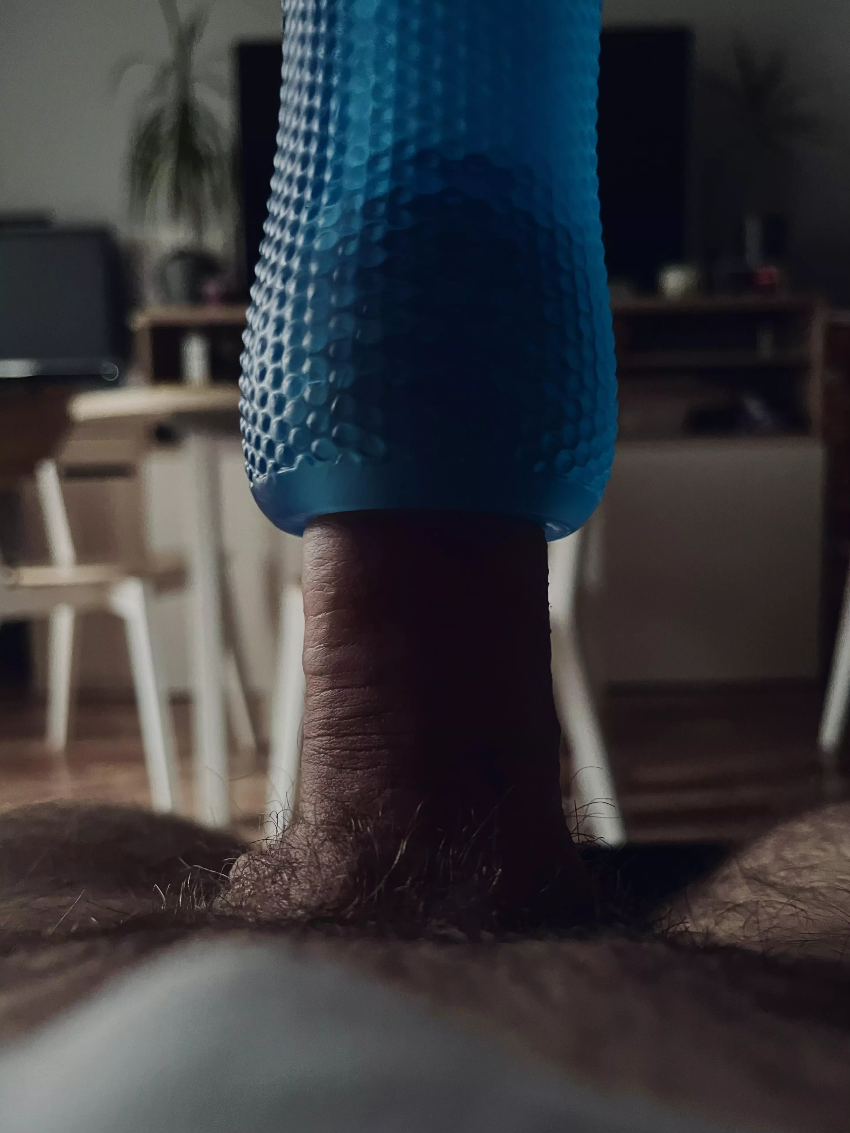 Do you want to swap with a sex toy?