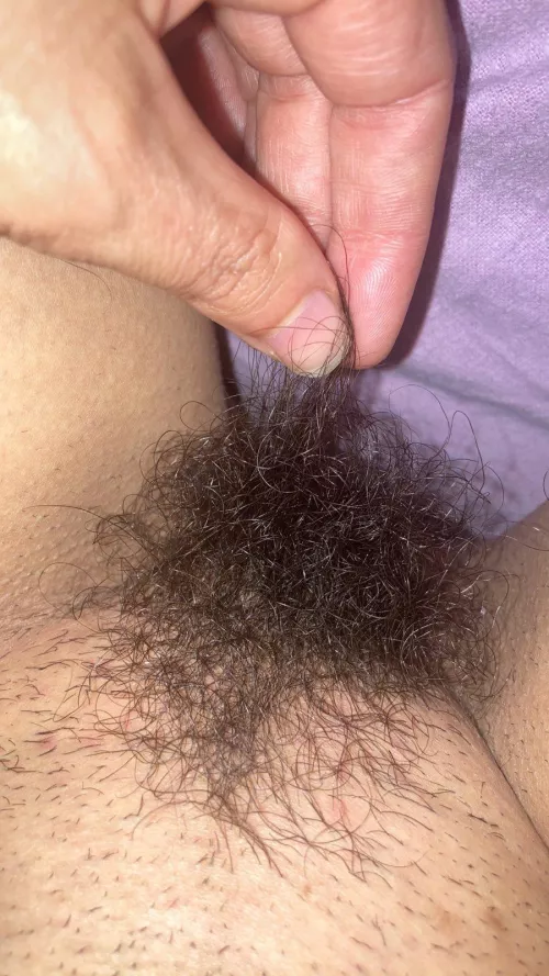 I totally understand if you can't handle a bush this size