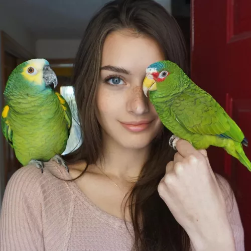 Jessica Clements