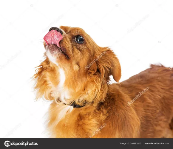 Mods are asleep, post 