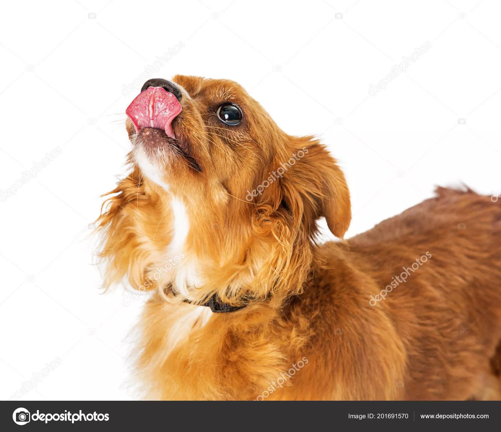 Mods are asleep, post 