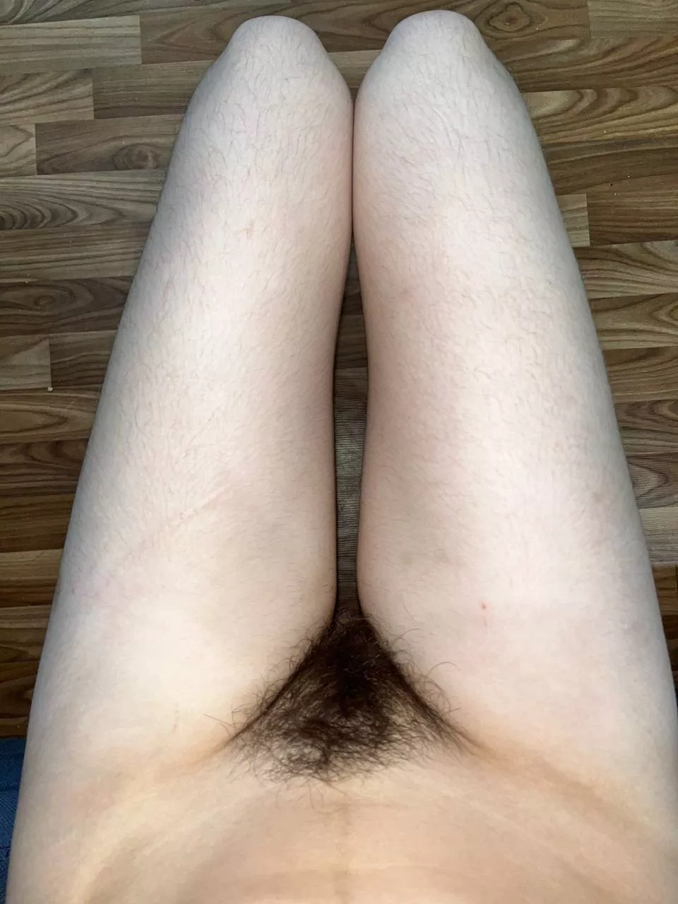 nuggets or fries? [h]