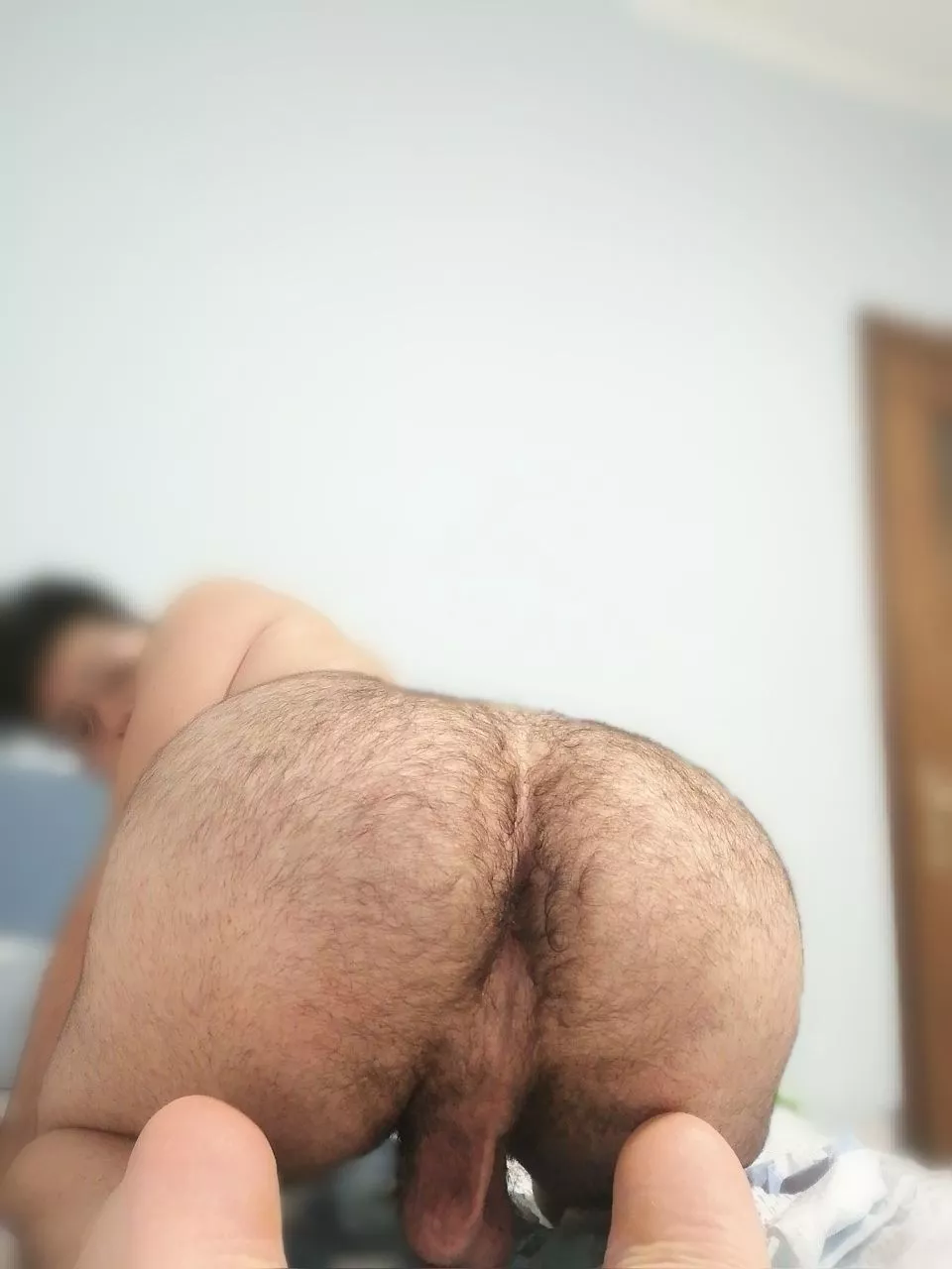 Please, tell me what do you think (size, hairiness, thickness...)