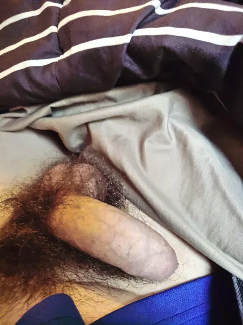 Want to cuddle in winter?