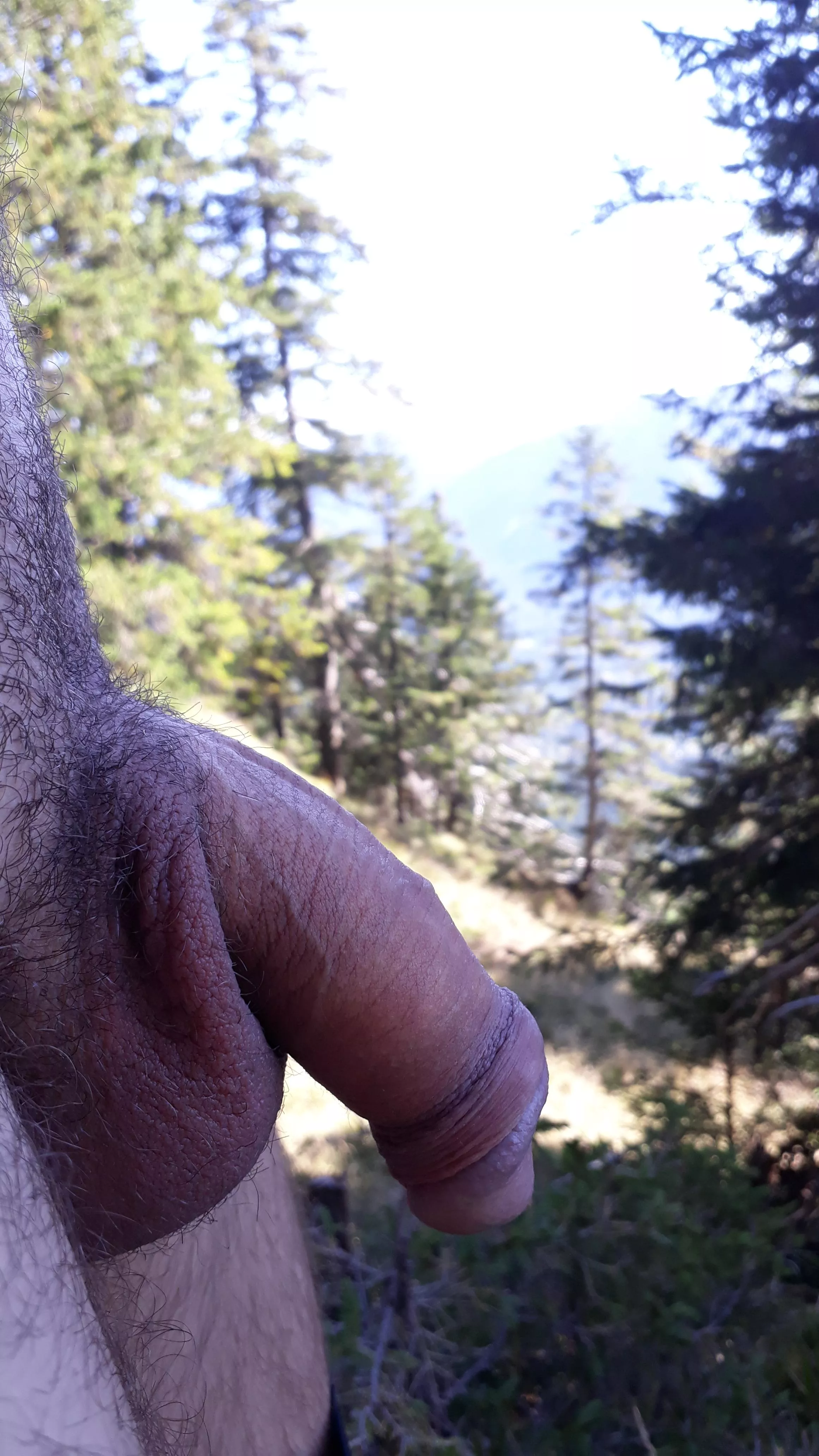 What about a hike in the forest?