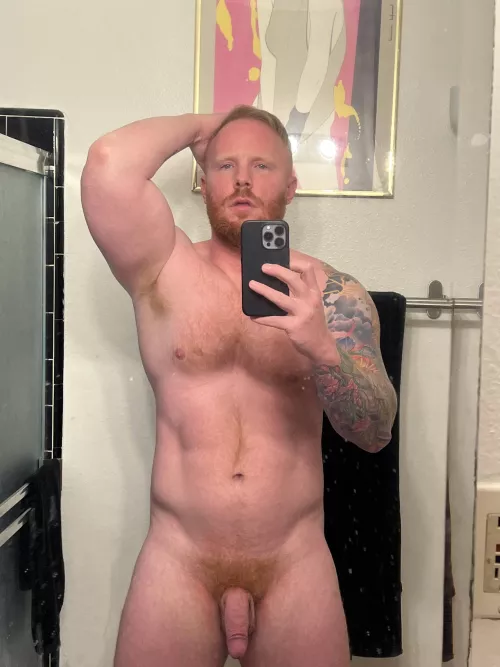 Who wants to give this ginger softie a taste?