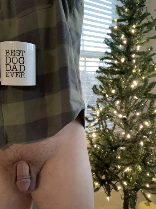 Who wants to help me decorate this little guy??