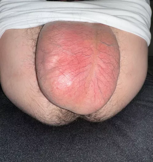 Who’s in Los Angeles?