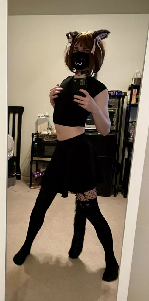 Catboy appreciation anyone?