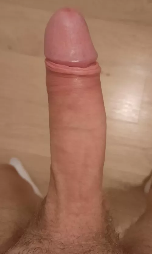 Do I have a pretty dick?