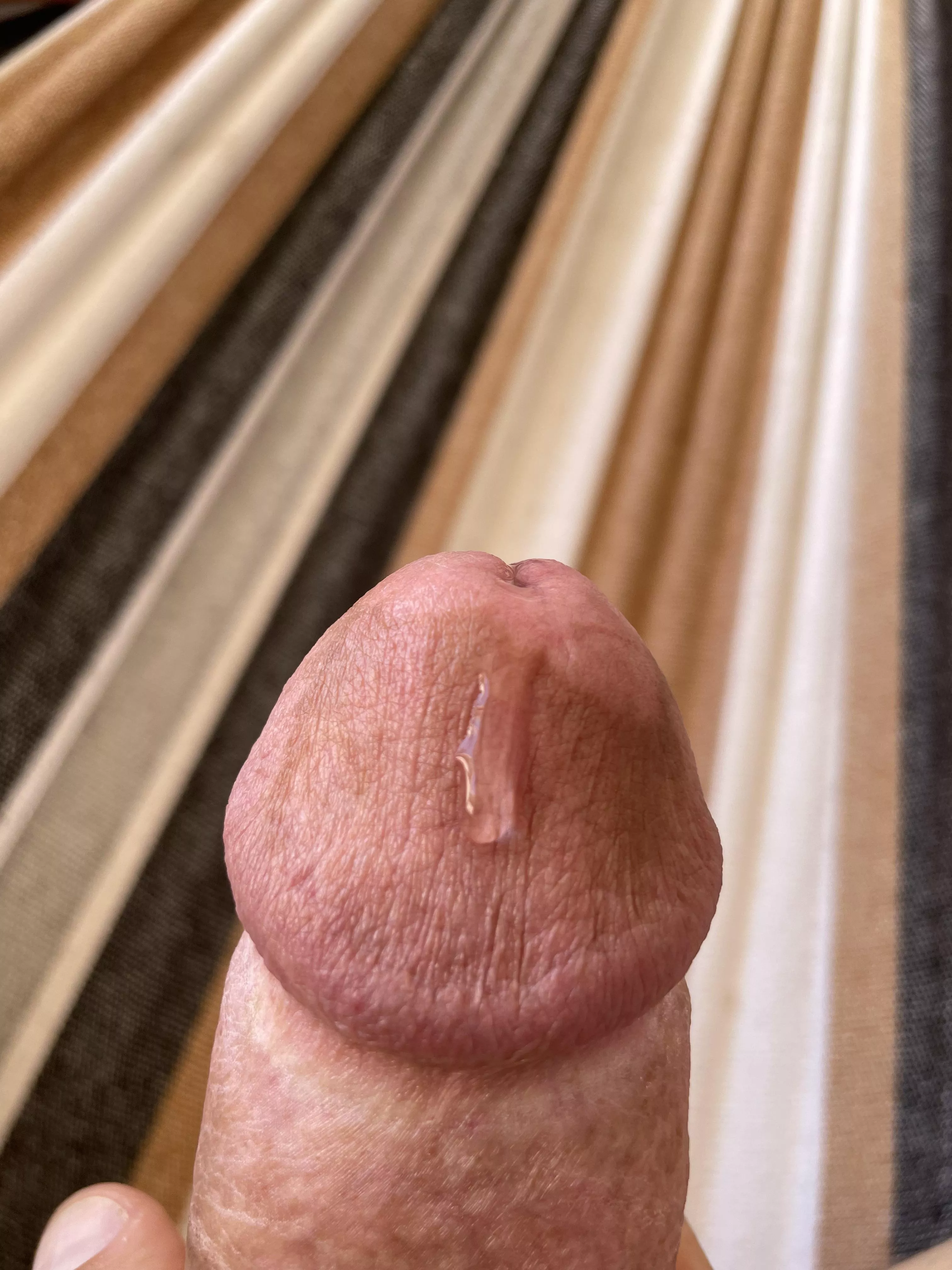 Edging out in the hammock