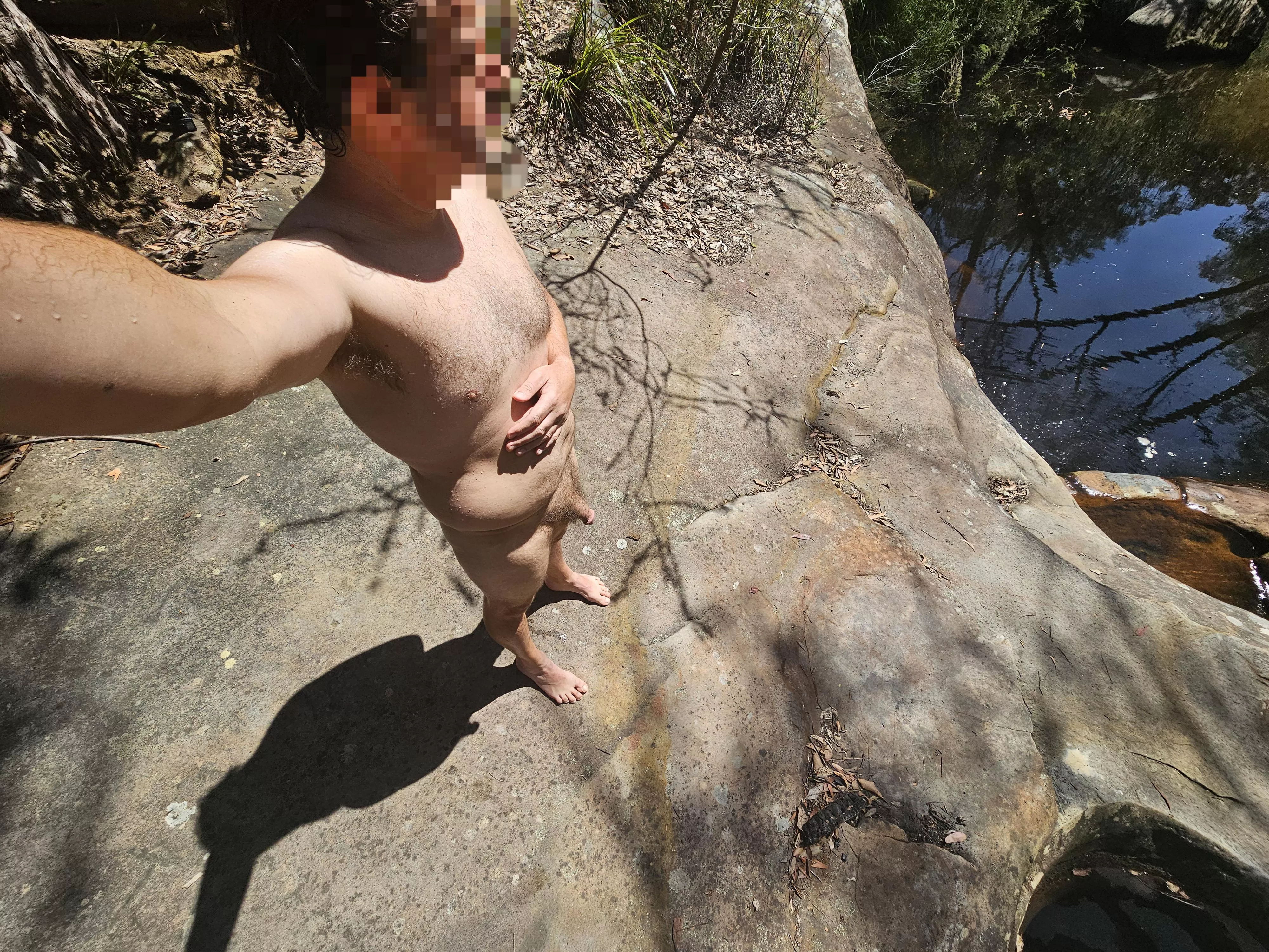 I went into the woods