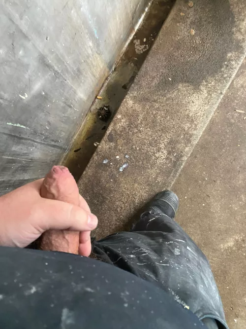 If you stopped scrolling you owe me a blowjob