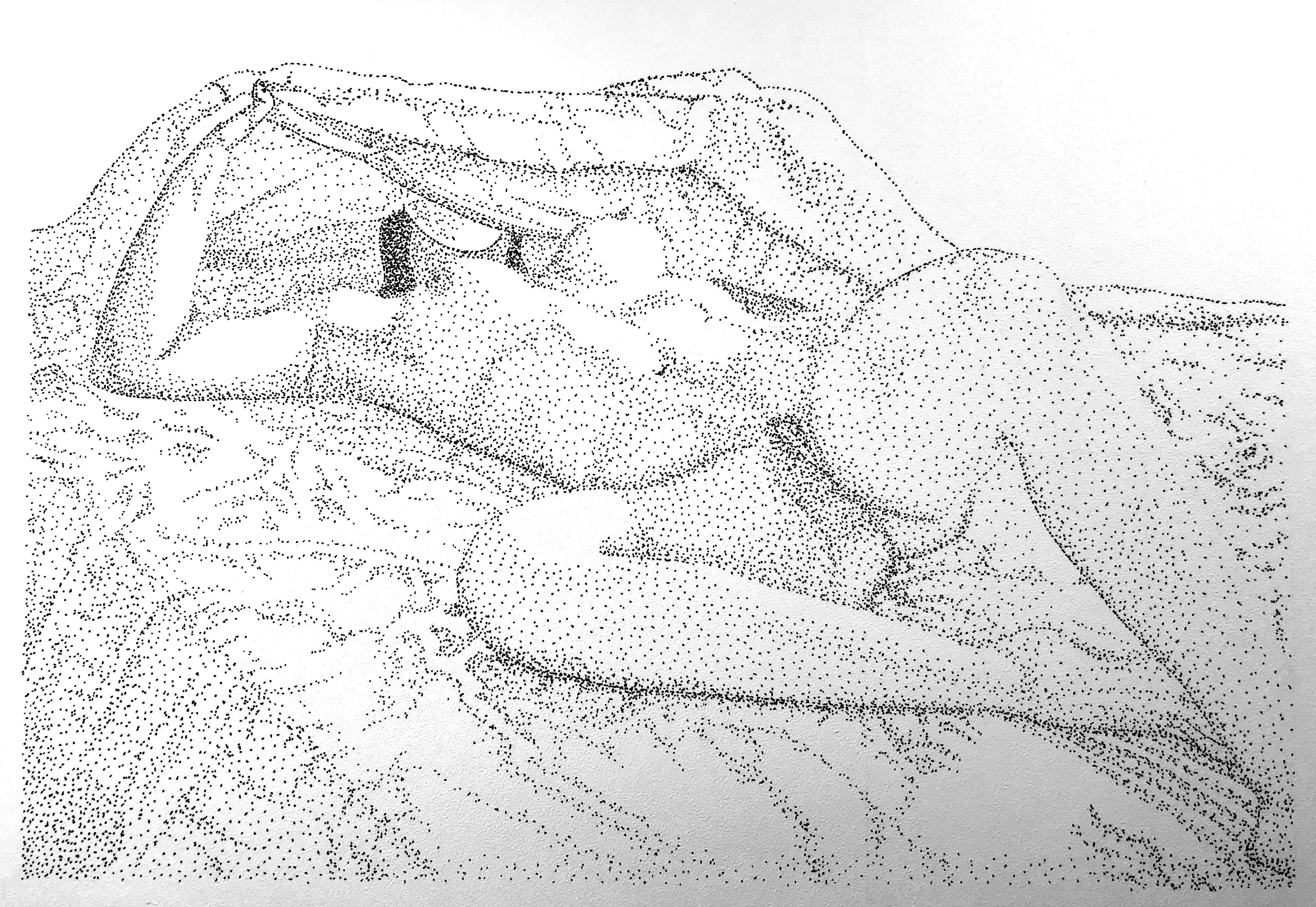 Is it safe to come out?