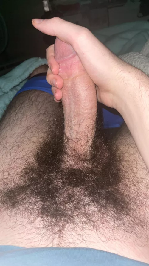 Need a hairy hole to breed