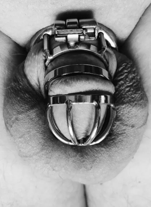 New cage in time for Christmas