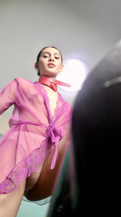 Say HI if you'd accept dick pics from transgirl like me