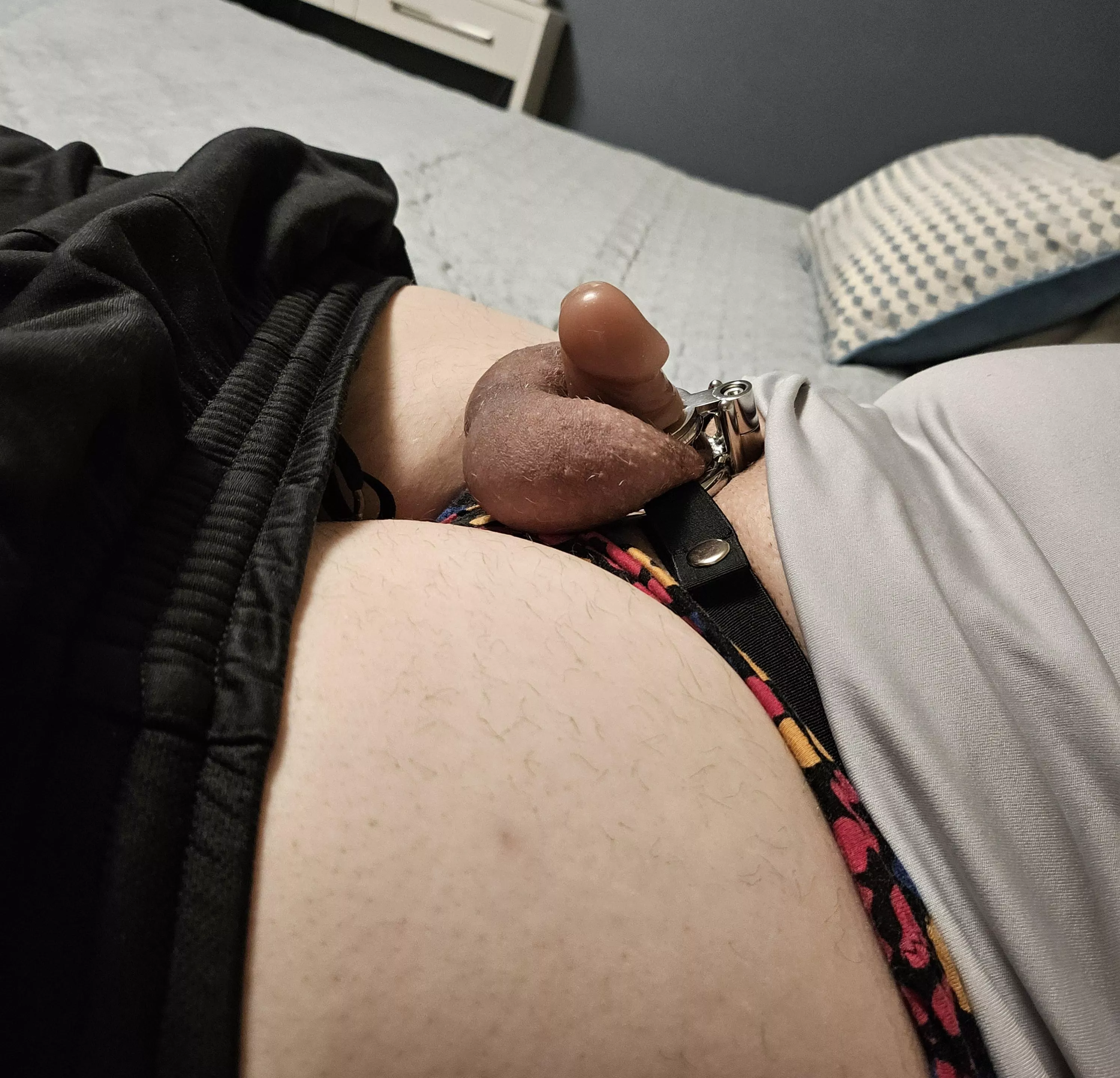 Sissy in inverted chastity with tiny dildo attachment for the first time...