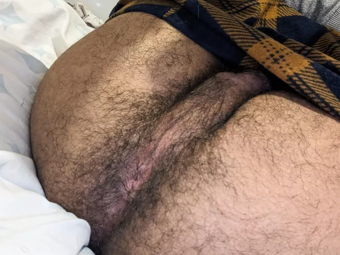 Who wants my 20yo hairy ass ?