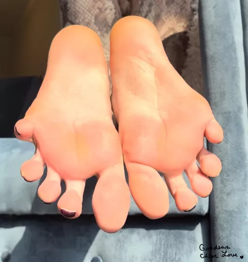 worship them for 20 minutes only.