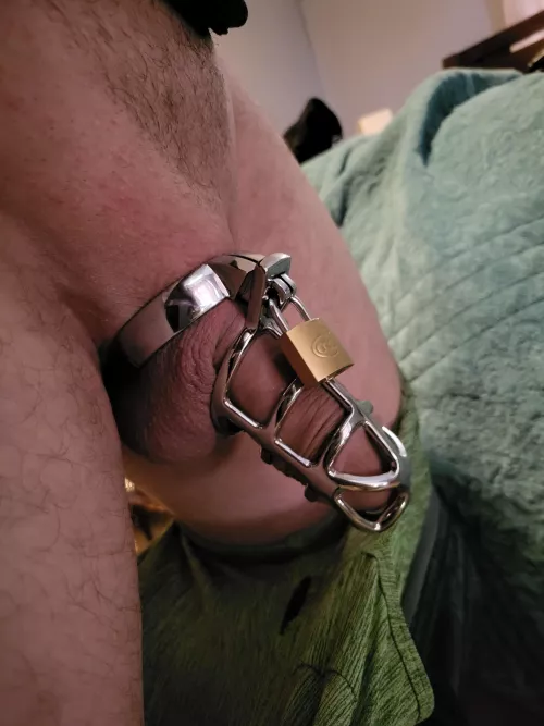 Would love to find a sph dom!