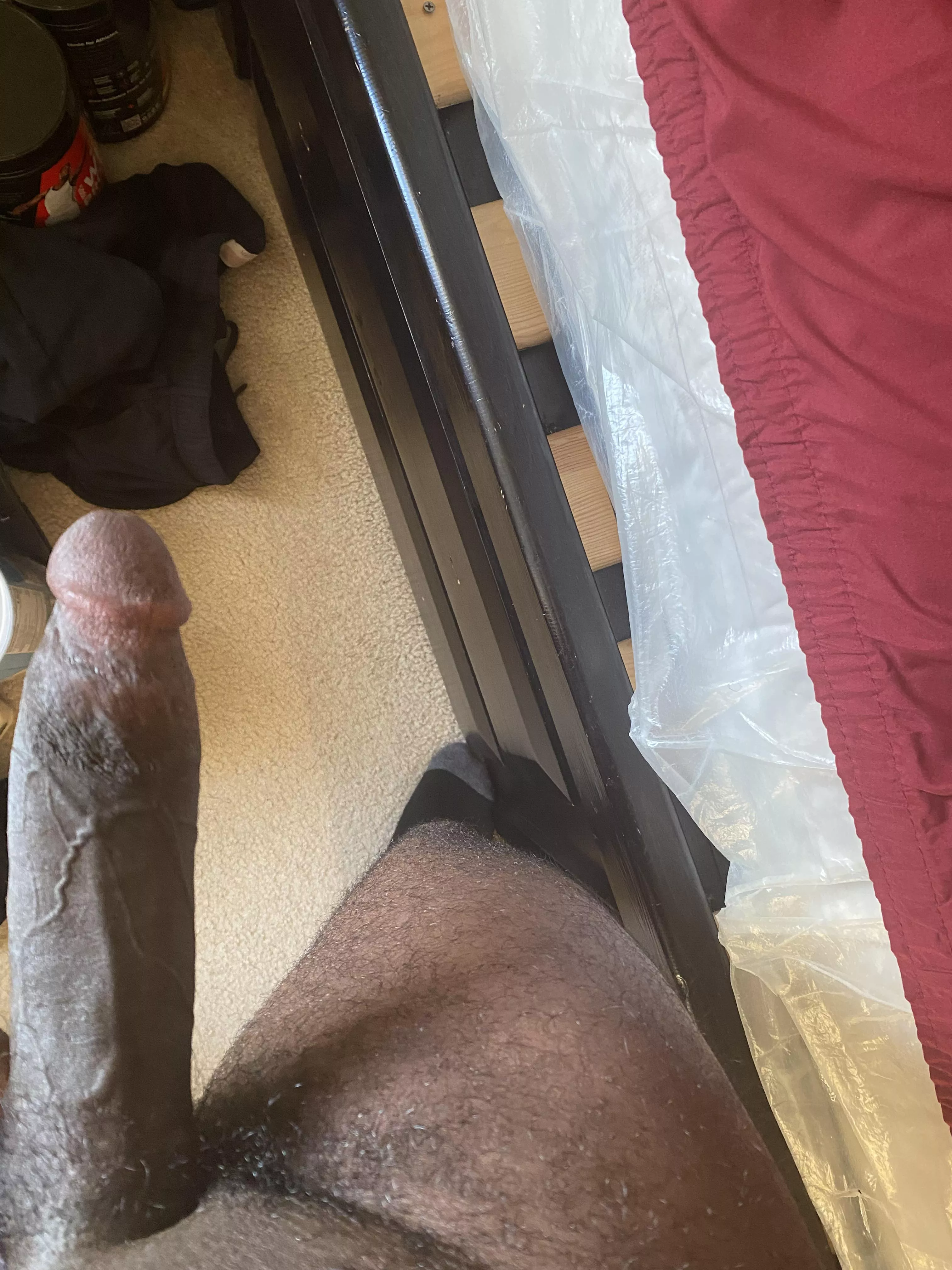You open my bedroom door and see this dick. What is your first action upon seeing it?