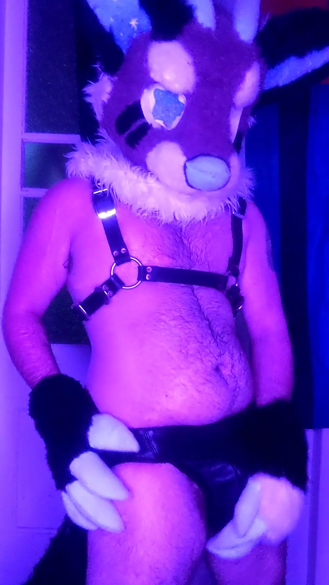 Been nursing this bulge a while now...