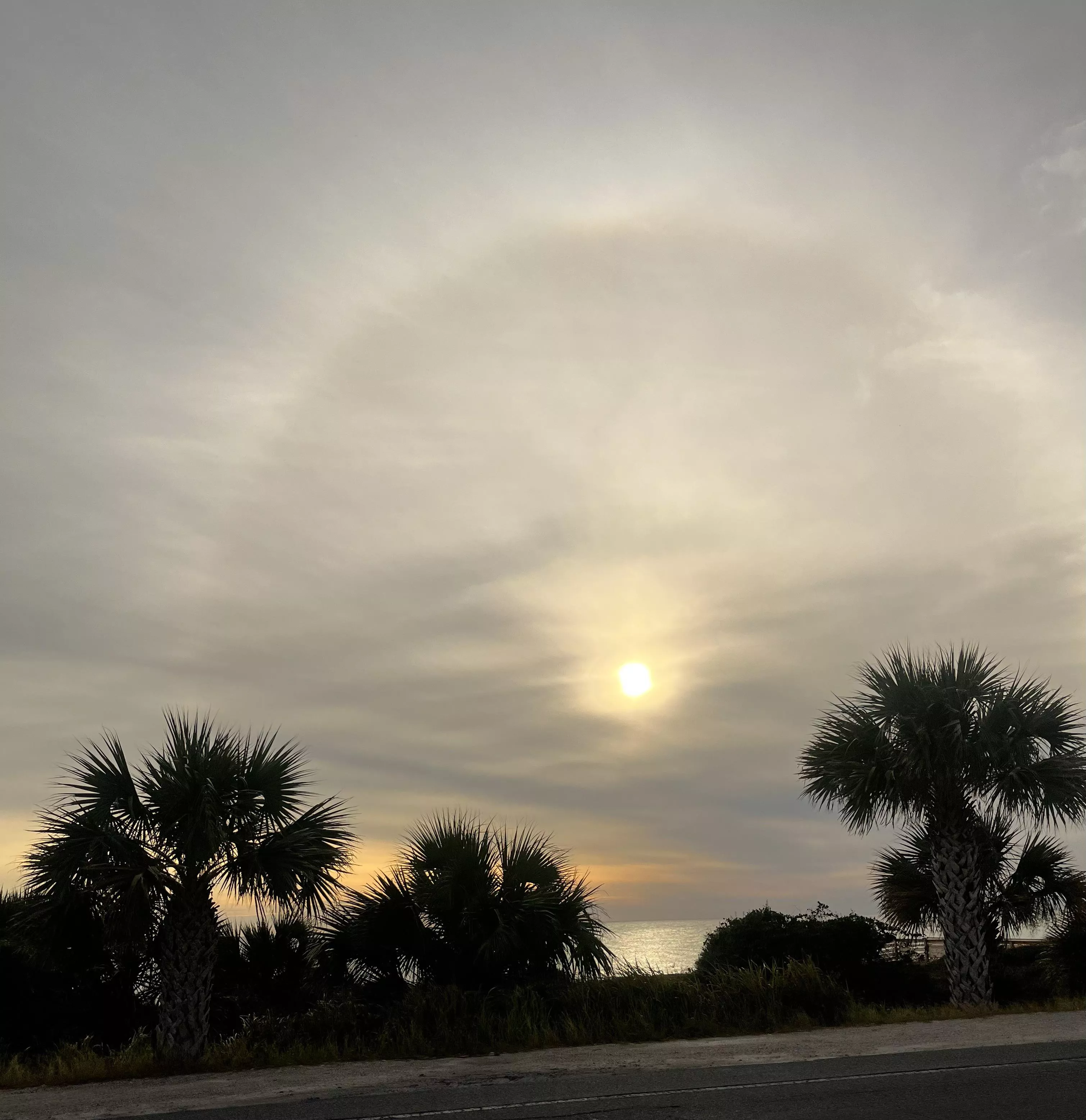 I just love this photo OC