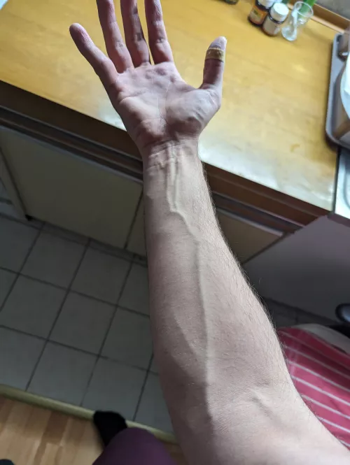 I like my veins