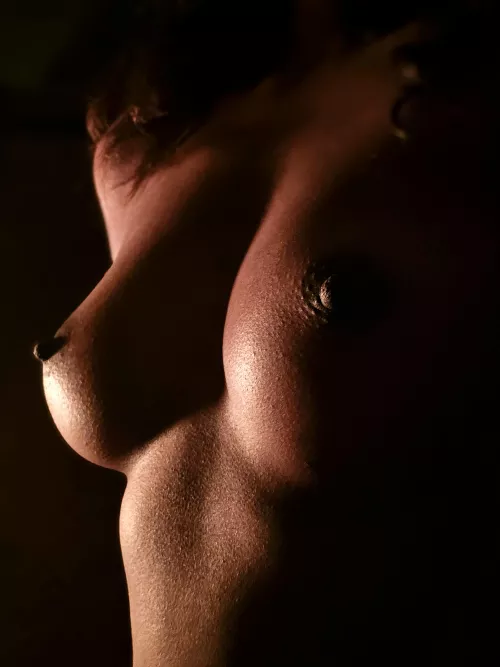 I love the way the light highlights them.