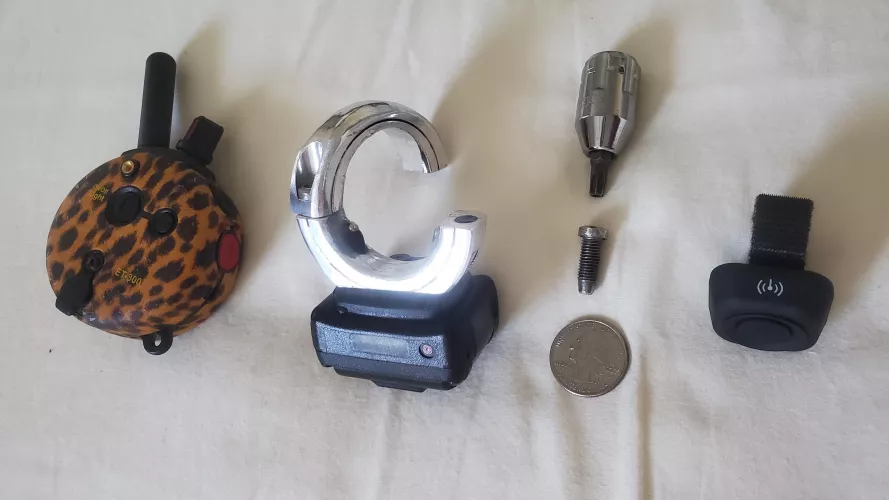 Shock Collar for Balls 2