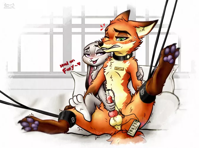 Hang on Foxy~ (nightfury2020)