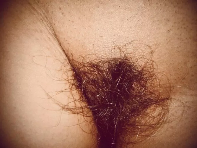 My mexican wild bush