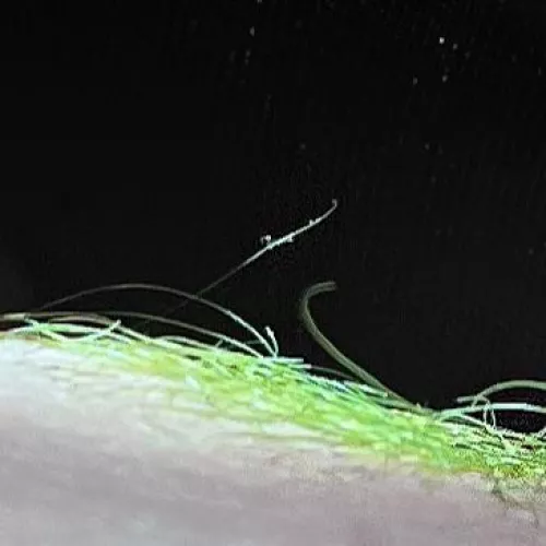 Thank you for electric lizard color recommendation- it’s exactly as bright as I wanted 💚