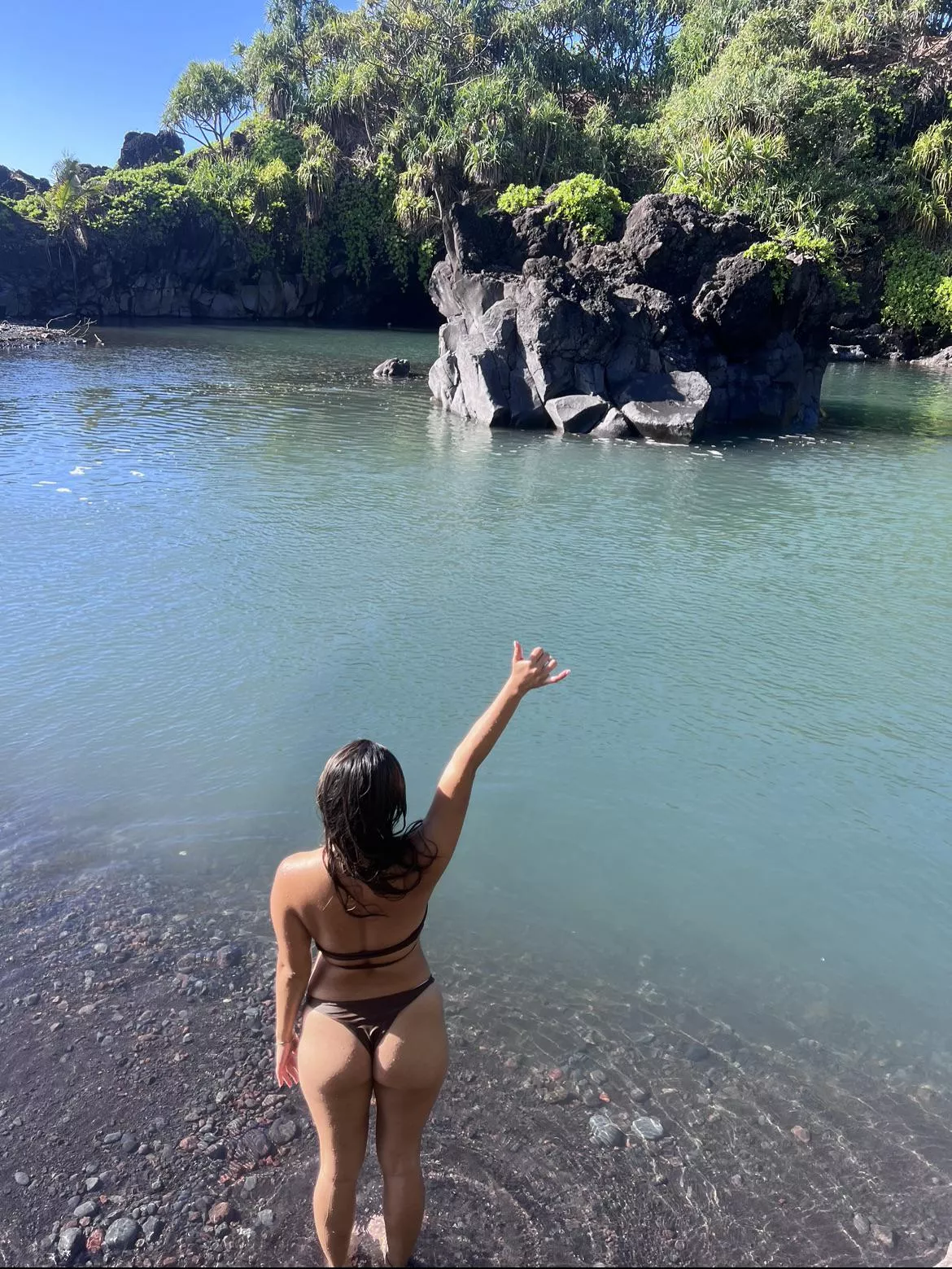 Another beautiful Aloha Friday! Several concerts this weekend and looking to pick up a BWC at each one 🫣 is it going to be you? 😜