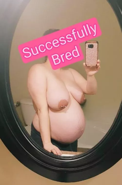 Despite getting successfully impregnated, my wife still insists on seeing her bulls 
